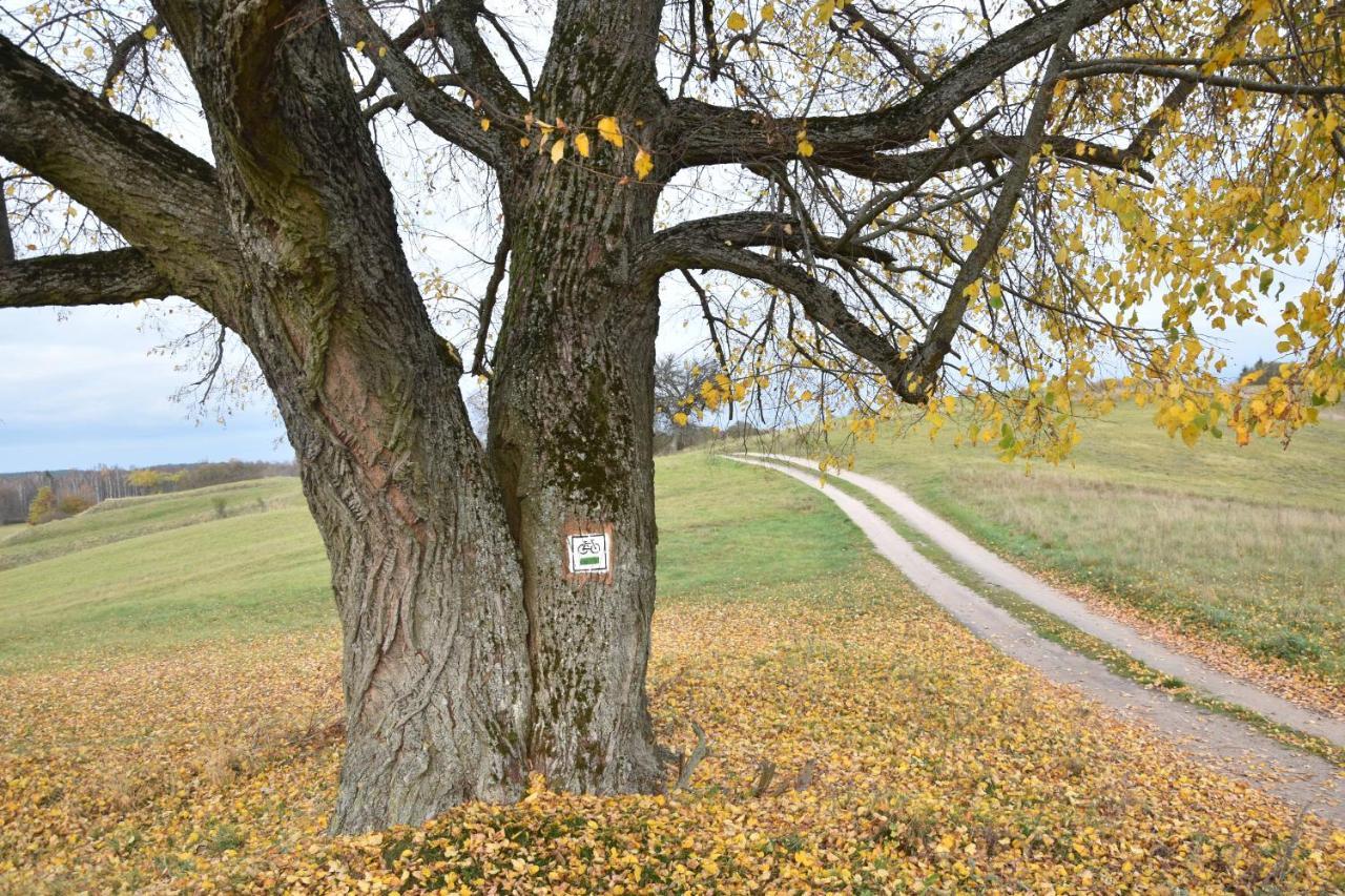 Ferienwohnung Wigierski Park Narodowy Suwałki Exterior foto